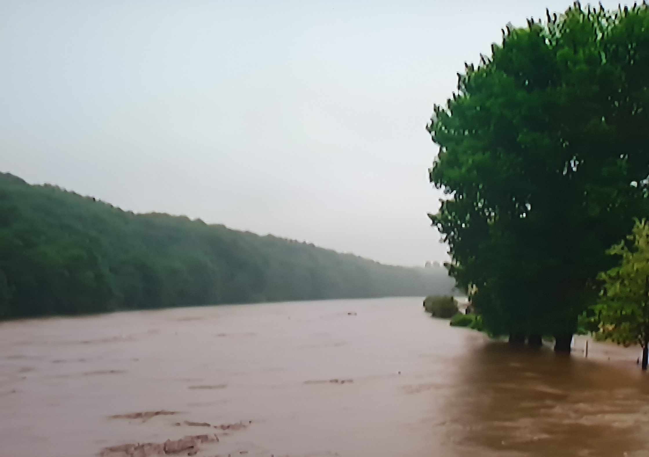 Ein kleiner Bach wird zum breiten Fluss